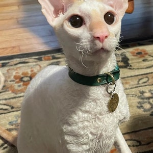 Carolyn added a photo of their purchase