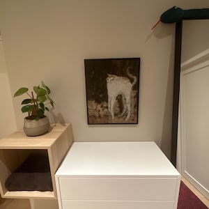Mathilde added a photo of their purchase