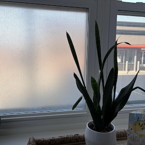 Heidrun added a photo of their purchase