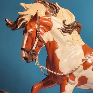 Kelly hat ein Foto des gekauften Artikels hinzugefügt