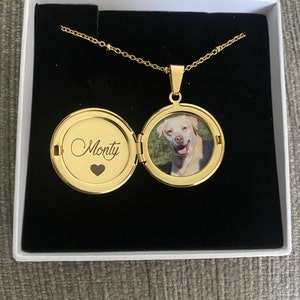 Molly added a photo of their purchase