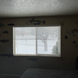 wes added a photo of their purchase