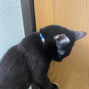 Rasia ha añadido una foto de su compra