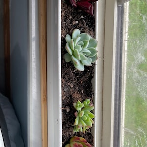 Hope added a photo of their purchase