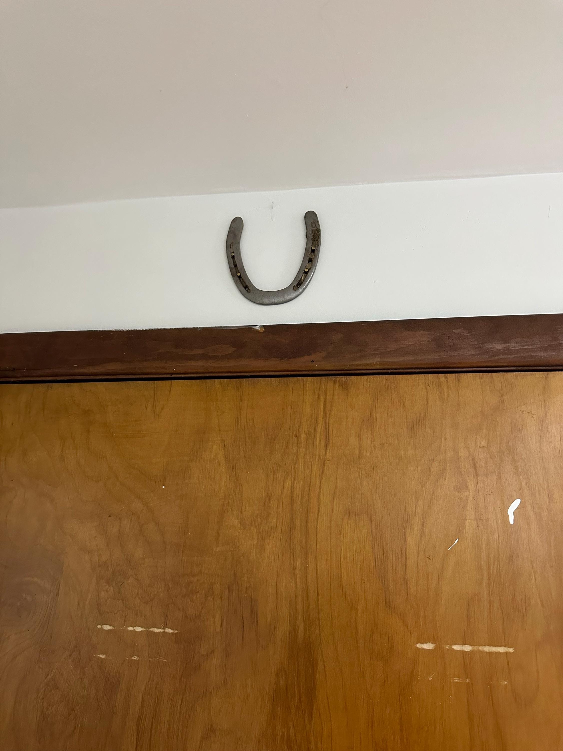 Authentic Used Horse Shoes-Flat Shoes-Assorted sizes-Rusted Shoes-Shiny Shoes-Cowboy Art-Farrier Horseshoes-Western Decor