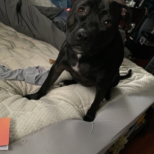 Mackenzey added a photo of their purchase