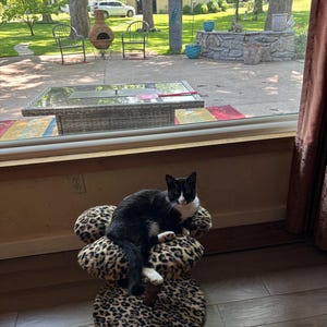 Candice added a photo of their purchase