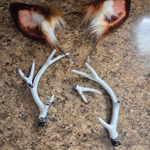 Heart added a photo of their purchase