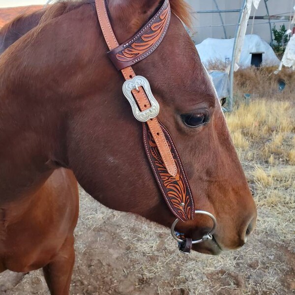 Coolhorse Leather 3/4