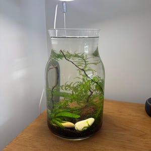 Scott added a photo of their purchase