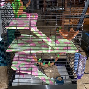 petco rat manor