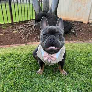 Daphne ha añadido una foto de su compra