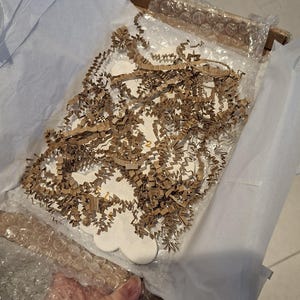 Jodie ha aggiunto una foto del proprio acquisto