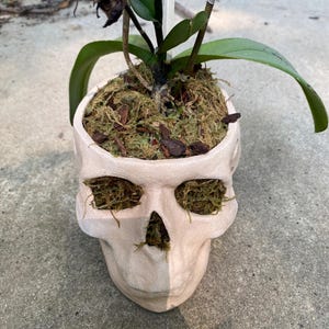 Catherine added a photo of their purchase