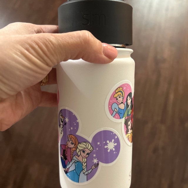 Disney's Encanto Stickers ~ Waterproof ~ Mirabel ~ Bruno ~ Family ~ Laptop  ~ Notebook ~ Water Bottle ~ Hydroflask ~ Gifts ~ Decals