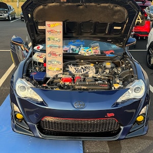 Car Show Hood Arch • Fully Custom • Comes with two LEDS installed for multiple color combo's!