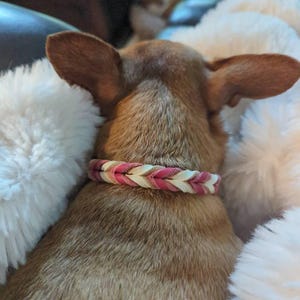 Charlotte added a photo of their purchase