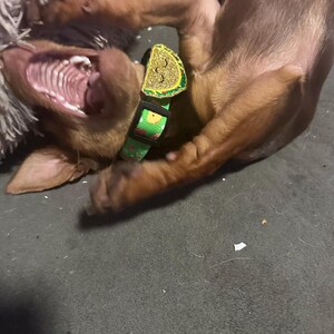 Brianna ha añadido una foto de su compra