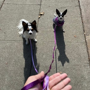 Gabrielli added a photo of their purchase