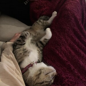 Inactive account added a photo of their purchase