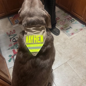 Stacie added a photo of their purchase