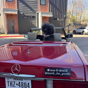 angie added a photo of their purchase