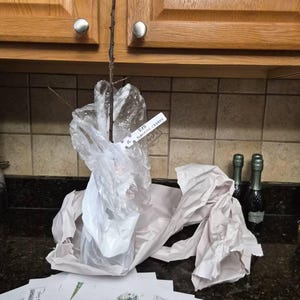 Kristar added a photo of their purchase