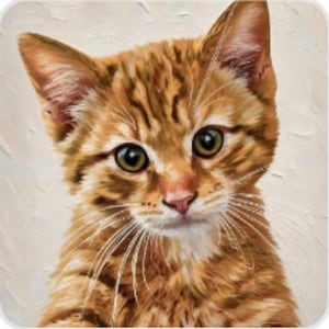 Emelia heeft een foto van de aankoop toegevoegd