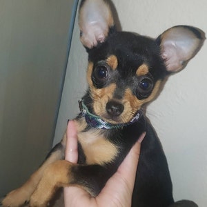Mayra added a photo of their purchase