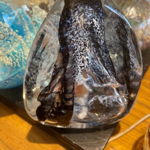 Colin added a photo of their purchase
