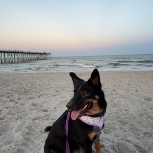 Heidi added a photo of their purchase