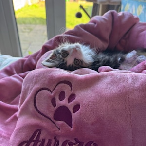 Jennifer added a photo of their purchase