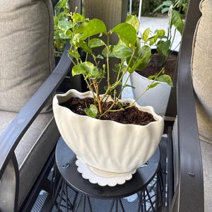 Mary added a photo of their purchase