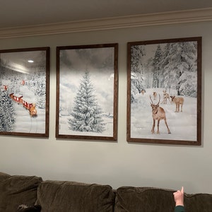 Alexander added a photo of their purchase