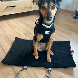 Stefanie added a photo of their purchase