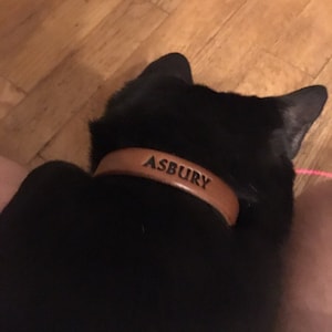 Colin added a photo of their purchase