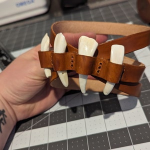 658147_5 658147_5