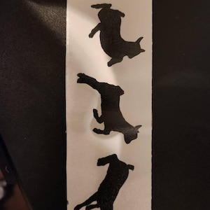 Kim added a photo of their purchase