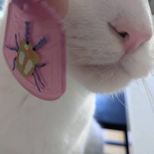 Penelope added a photo of their purchase