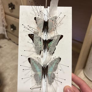 Mia added a photo of their purchase
