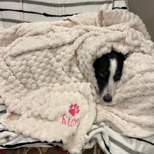 Melissa added a photo of their purchase