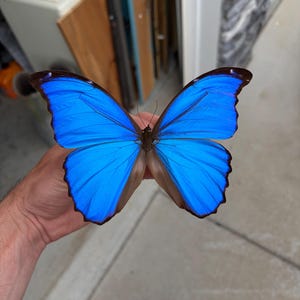 Stefanos added a photo of their purchase