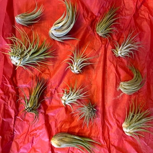 Stacey added a photo of their purchase