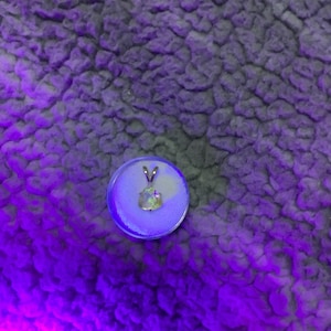 Robert ha añadido una foto de su compra