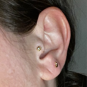 Amy added a photo of their purchase