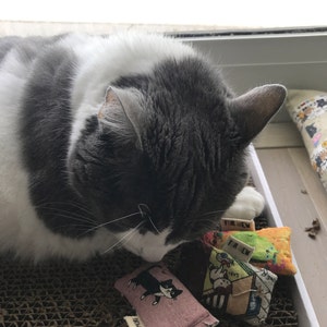 Jeanne added a photo of their purchase