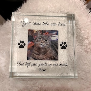 Hana added a photo of their purchase