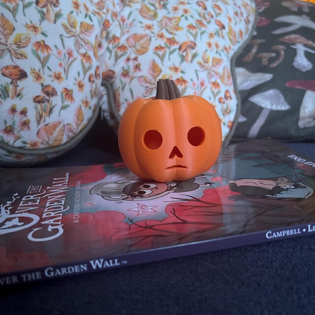 Over the Garden Wall Pumpkin Pottsfield Town Folk Head Jack-o