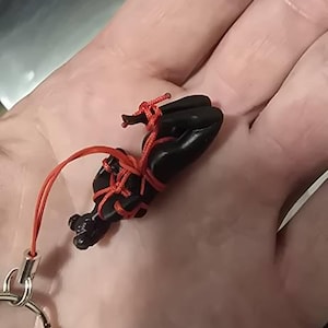 David added a photo of their purchase