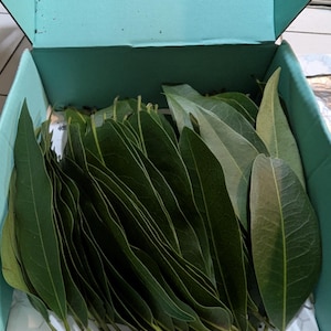 Anita added a photo of their purchase
